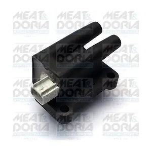 10672 MEAT & DORIA