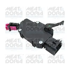 35209 MEAT & DORIA