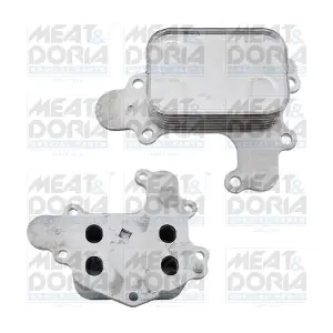 95299 MEAT & DORIA