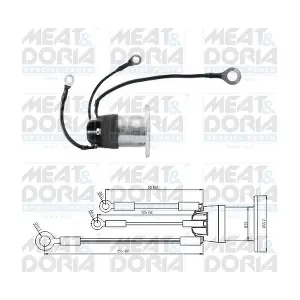 46194 MEAT & DORIA