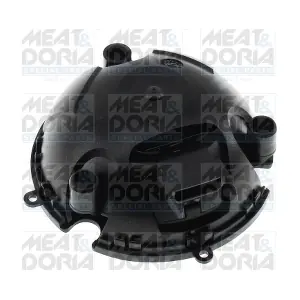 38542 MEAT & DORIA