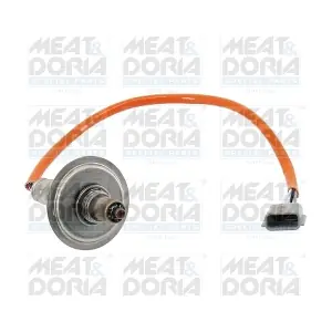 811037 MEAT & DORIA