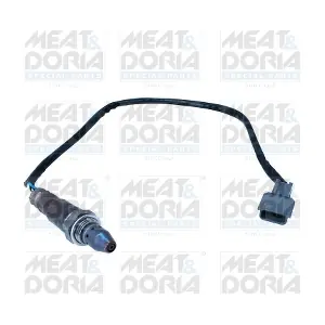 811046 MEAT & DORIA