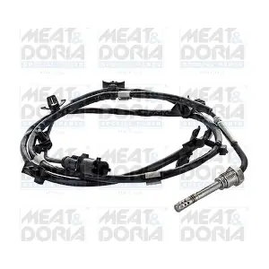 12079 MEAT & DORIA