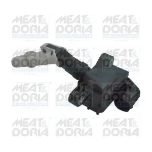 10805 MEAT & DORIA