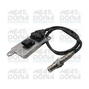 57165 MEAT & DORIA