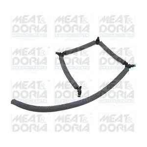9829 MEAT & DORIA