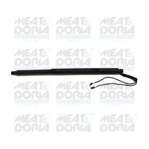 301123 MEAT & DORIA