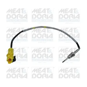 12108E MEAT & DORIA