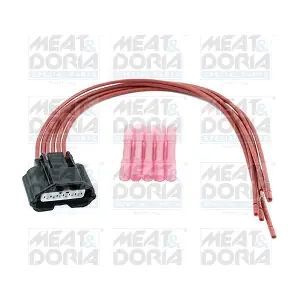 25033 MEAT & DORIA