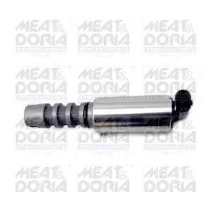 91564 MEAT & DORIA