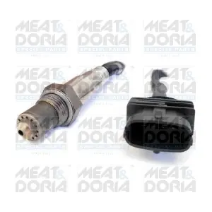 81784 MEAT & DORIA