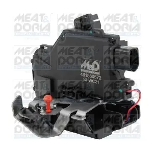 31685 MEAT & DORIA