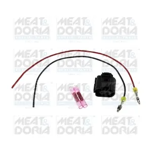 25579 MEAT & DORIA