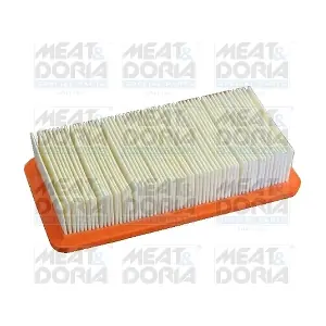 18383 MEAT & DORIA