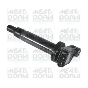 MEAT & DORIA 10557