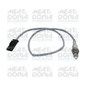 811040 MEAT & DORIA