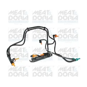 98062 MEAT & DORIA