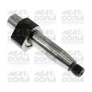 98664 MEAT & DORIA