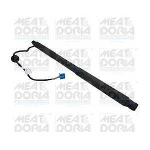 301037 MEAT & DORIA