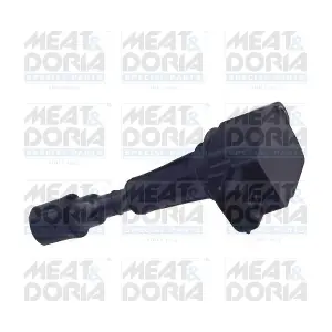 MEAT & DORIA 10660