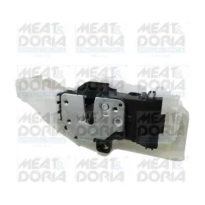 31107 MEAT & DORIA