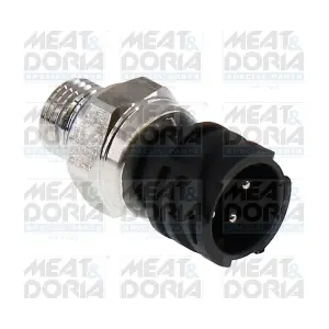 72174 MEAT & DORIA