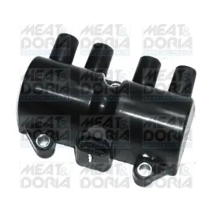 MEAT & DORIA 10493