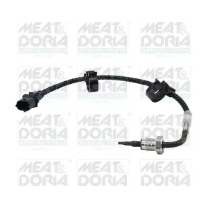 12622 MEAT & DORIA