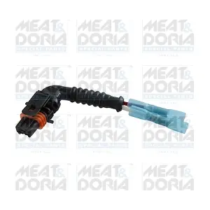 25198 MEAT & DORIA