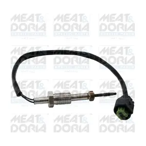 12028E MEAT & DORIA