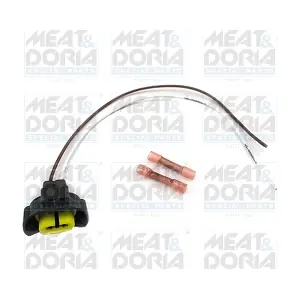25450 MEAT & DORIA