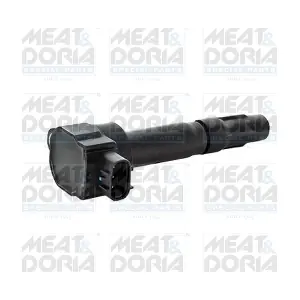 MEAT & DORIA 10800