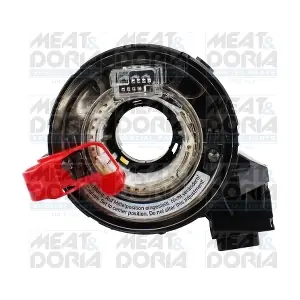 231539 MEAT & DORIA