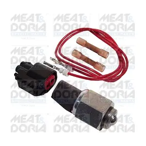 36066 MEAT & DORIA