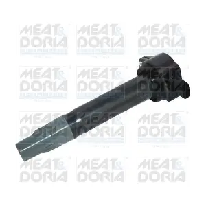 MEAT & DORIA 10624