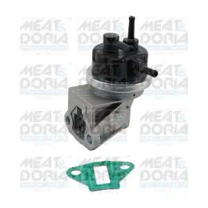 MEAT & DORIA POC305