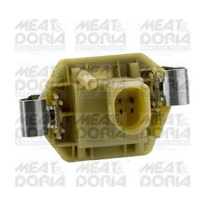 36139 MEAT & DORIA