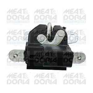 31308 MEAT & DORIA