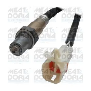 81612 MEAT & DORIA