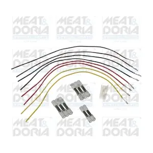 25569 MEAT & DORIA