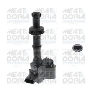 10880 MEAT & DORIA