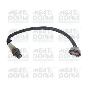 811072 MEAT & DORIA