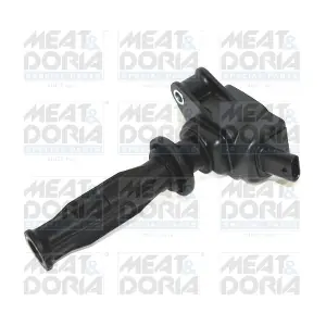 MEAT & DORIA 10762