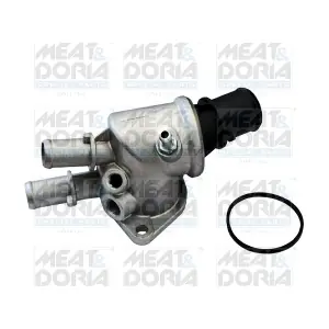 MEAT & DORIA 92081