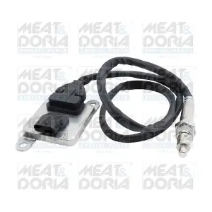 57202 MEAT & DORIA