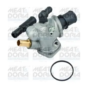 92030 MEAT & DORIA