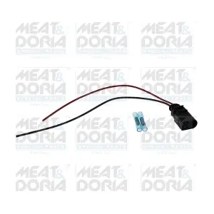 25504 MEAT & DORIA