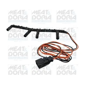 25526 MEAT & DORIA