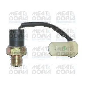 72029 MEAT & DORIA